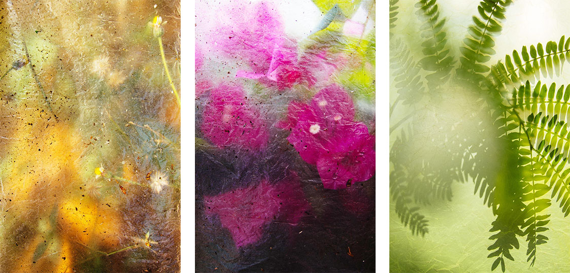 series of photos through plastic bags