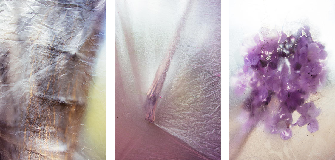 series of photos through plastic bags