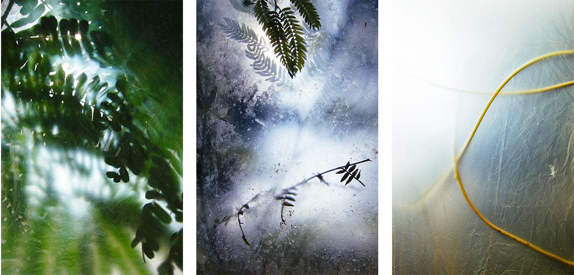 series of photos through plastic bags