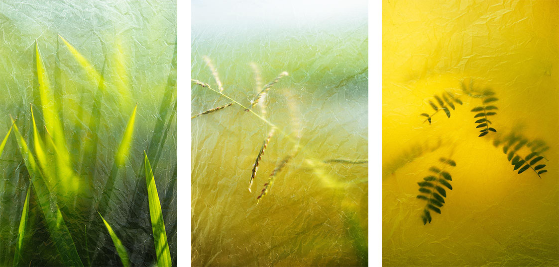 series of photos through plastic bags