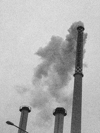 search for nature in digital photography