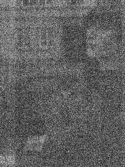 search for nature in digital photography